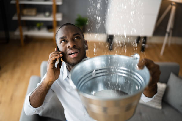 Best Local water damage restoration  in Necedah, WI
