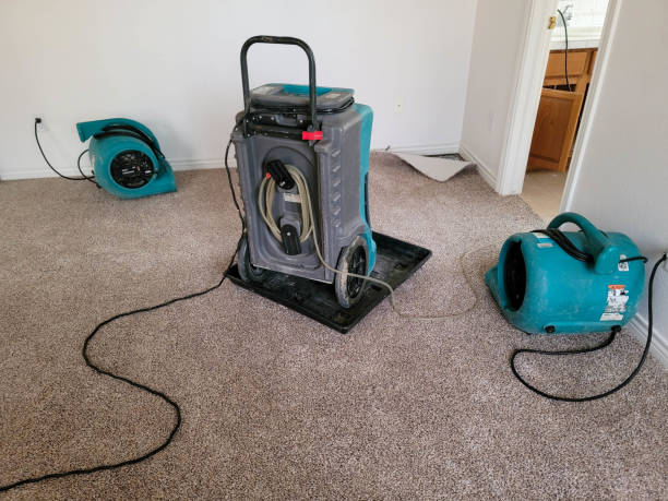  Necedah, WI Water damage restoration Pros