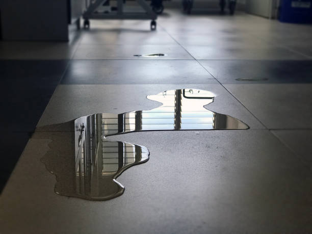Best Professional water damage repair  in Necedah, WI
