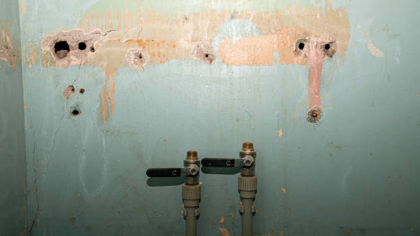 Best 24/7 water damage repair  in Necedah, WI