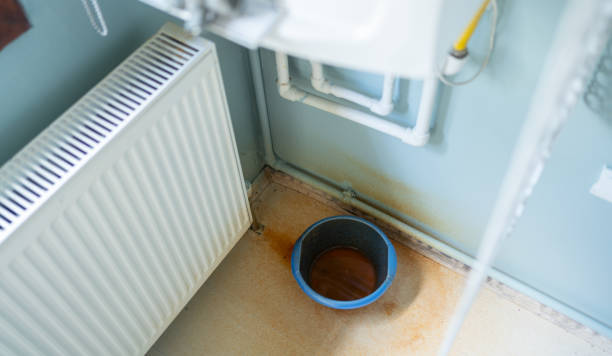 Best Ceiling water damage repair  in Necedah, WI