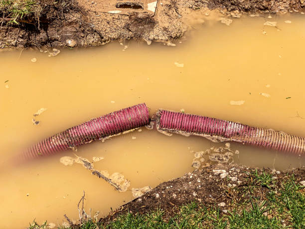 Best Sewage cleanup and water damage restoration  in Necedah, WI