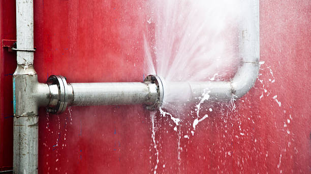 Best Commercial water damage restoration  in Necedah, WI